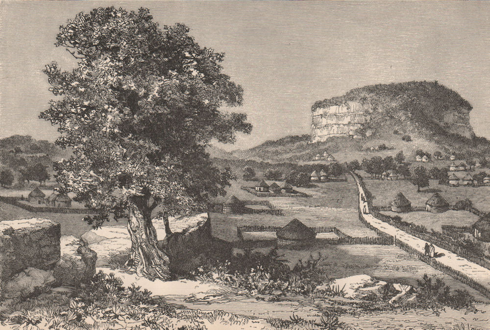 View taken in Demsa Poha. Nigeria. The Niger Basin 1885 old antique print